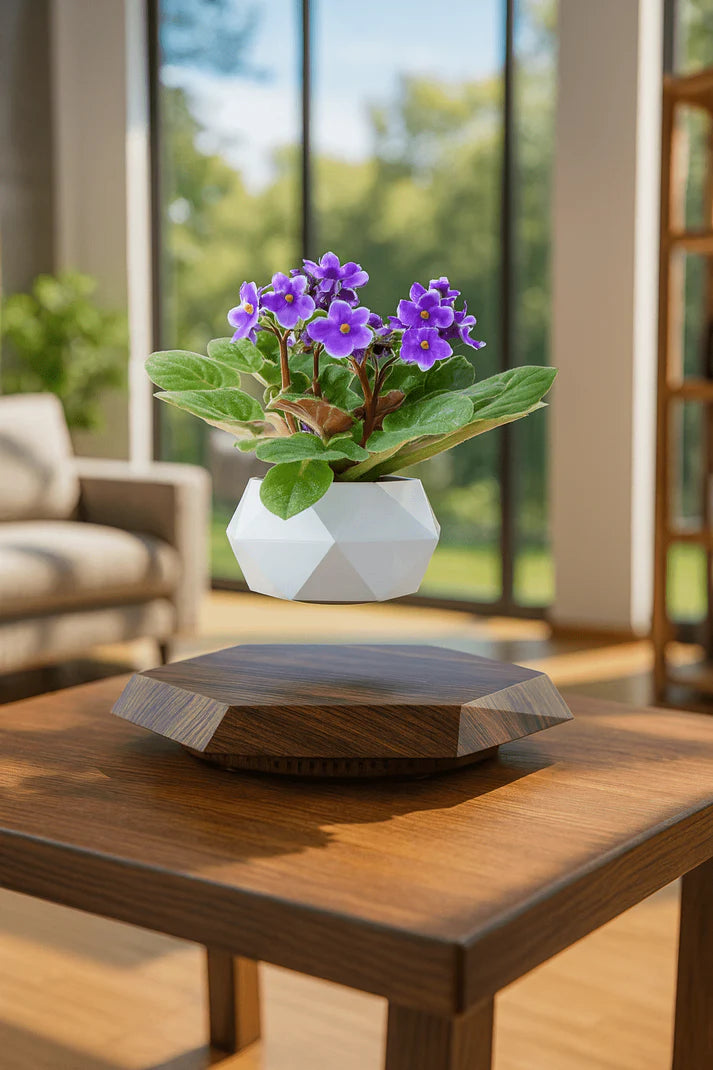 Levitating - Floating Flower Pot with Wood Base ©