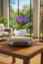 Levitating - Floating Flower Pot with Wood Base ©