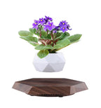 Levitating - Floating Flower Pot with Wood Base ©